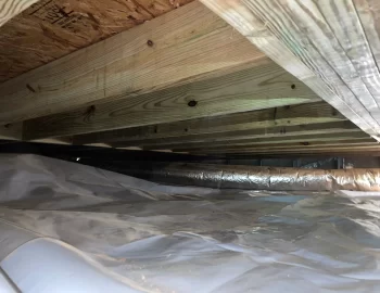 Crawl Space lined