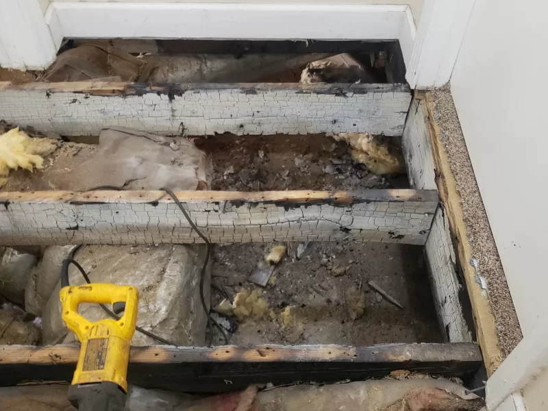 Rotten floor being replaced in basement